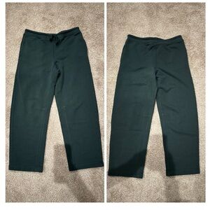 Madewell McClarren Sweatpants (NWT)